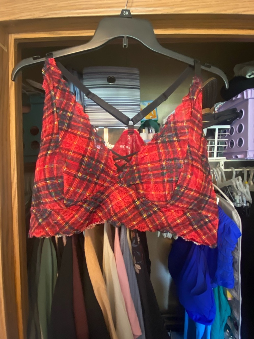 Torrid Bralette